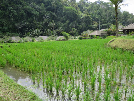 f:id:katsushika-miyah:20170730015111j:plain f:id:katsushika-miyah:20170730015111j:plain