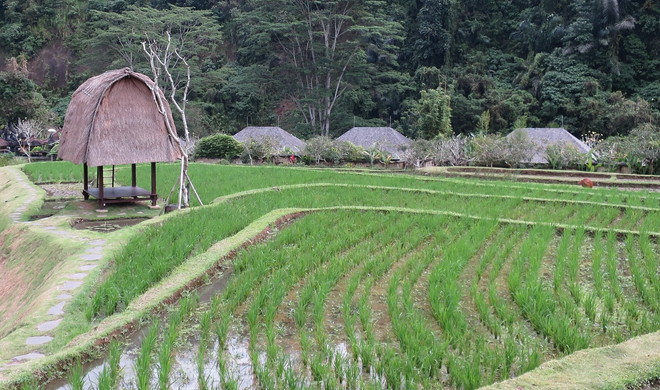 f:id:katsushika-miyah:20170730020153j:plain f:id:katsushika-miyah:20170730020153j:plain