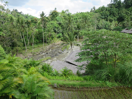 f:id:katsushika-miyah:20170730020337j:plain f:id:katsushika-miyah:20170730020337j:plain