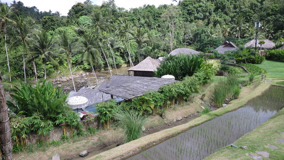 f:id:katsushika-miyah:20170730020609j:plain f:id:katsushika-miyah:20170730020609j:plain