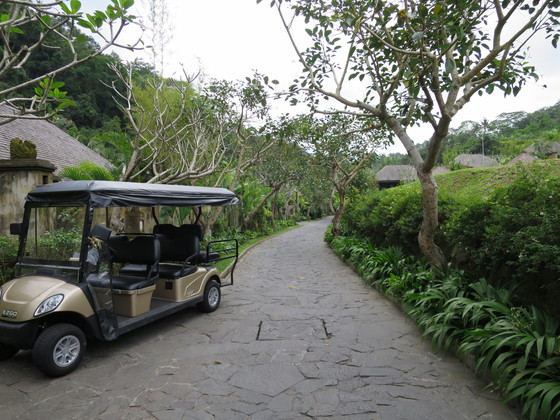 f:id:katsushika-miyah:20170730021419j:plain f:id:katsushika-miyah:20170730021419j:plain