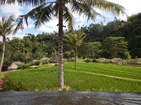 f:id:katsushika-miyah:20170730022641j:plain f:id:katsushika-miyah:20170730022641j:plain