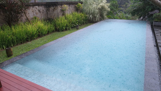 f:id:katsushika-miyah:20170730050550j:plain f:id:katsushika-miyah:20170730050550j:plain