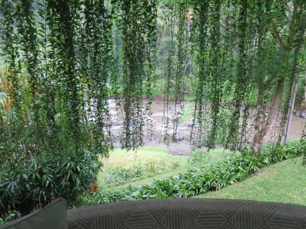 f:id:katsushika-miyah:20170730142615j:plain f:id:katsushika-miyah:20170730142615j:plain