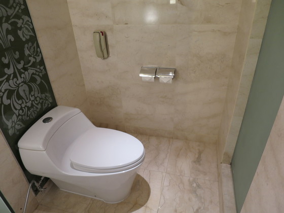 f:id:katsushika-miyah:20170730174813j:plain