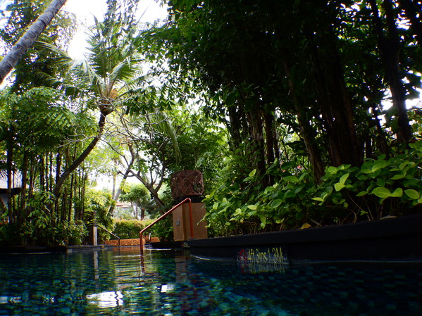 f:id:katsushika-miyah:20170730225625j:plain