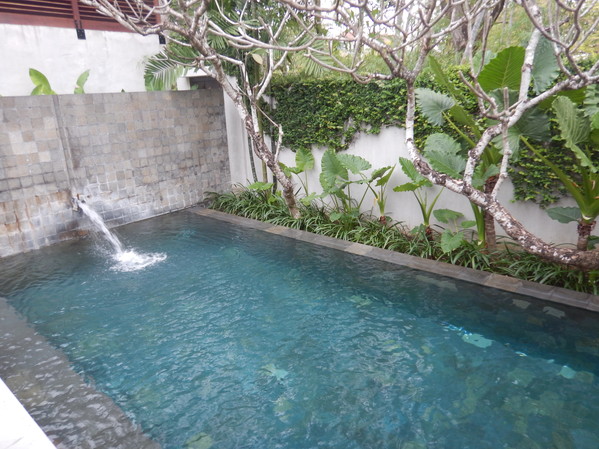 f:id:katsushika-miyah:20170731132723j:plain f:id:katsushika-miyah:20170731132723j:plain