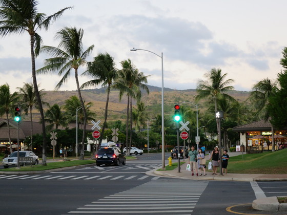 f:id:katsushika-miyah:20170807133740j:plain f:id:katsushika-miyah:20170807133740j:plain