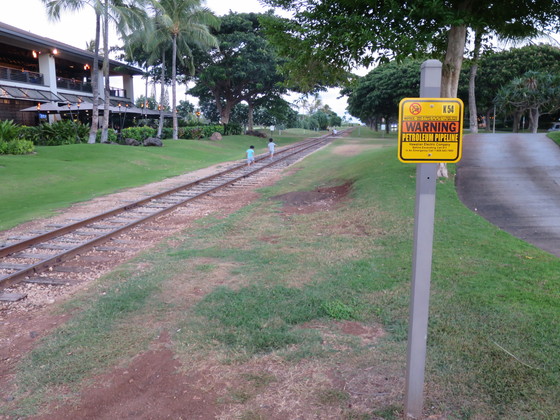 f:id:katsushika-miyah:20170807133810j:plain f:id:katsushika-miyah:20170807133810j:plain