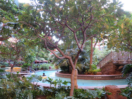 f:id:katsushika-miyah:20170807150456j:plain f:id:katsushika-miyah:20170807150456j:plain