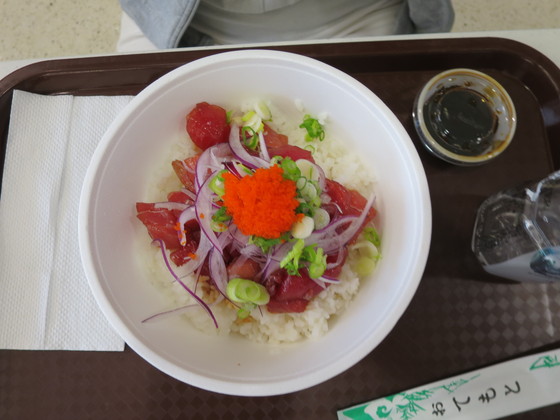 f:id:katsushika-miyah:20170808033215j:plain f:id:katsushika-miyah:20170808033215j:plain