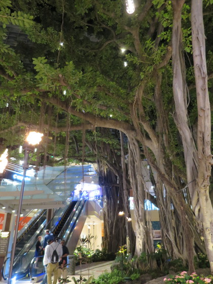 f:id:katsushika-miyah:20170808131617j:plain f:id:katsushika-miyah:20170808131617j:plain