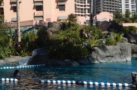 f:id:katsushika-miyah:20170809160623j:plain f:id:katsushika-miyah:20170809160623j:plain