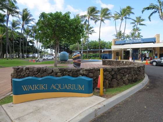 f:id:katsushika-miyah:20170809231853j:plain f:id:katsushika-miyah:20170809231853j:plain