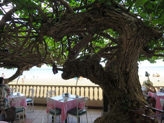 f:id:katsushika-miyah:20170809235733j:plain f:id:katsushika-miyah:20170809235733j:plain