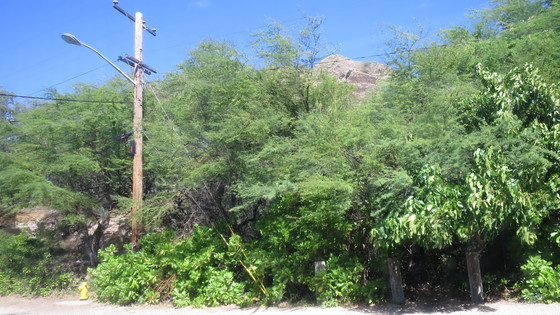 f:id:katsushika-miyah:20170810014324j:plain