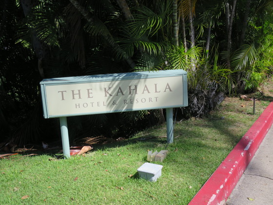 f:id:katsushika-miyah:20170810020136j:plain