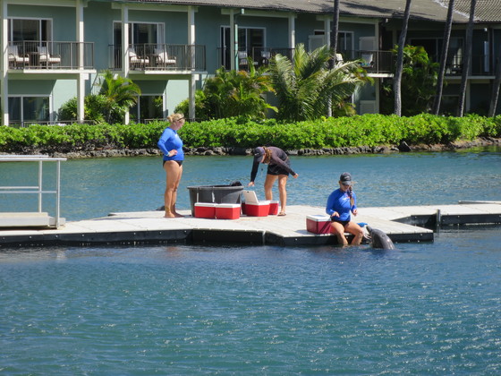 f:id:katsushika-miyah:20170810020354j:plain