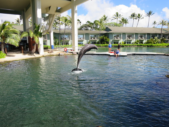 f:id:katsushika-miyah:20170810020605j:plain