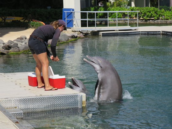 f:id:katsushika-miyah:20170810020825j:plain