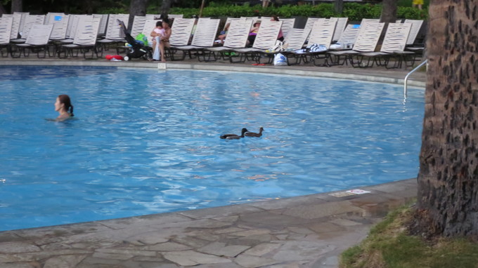 f:id:katsushika-miyah:20170810032959j:plain