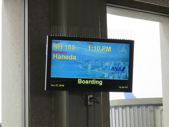 f:id:katsushika-miyah:20170811035712j:plain f:id:katsushika-miyah:20170811035712j:plain