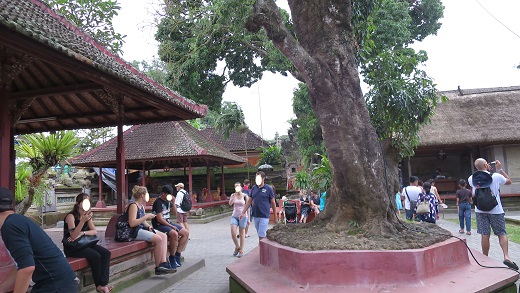 f:id:katsushika-miyah:20170814203232j:plain f:id:katsushika-miyah:20170814203232j:plain