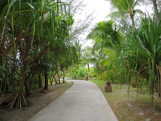 f:id:katsushika-miyah:20170817042624j:plain f:id:katsushika-miyah:20170817042624j:plain