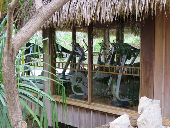 f:id:katsushika-miyah:20170817043505j:plain f:id:katsushika-miyah:20170817043505j:plain