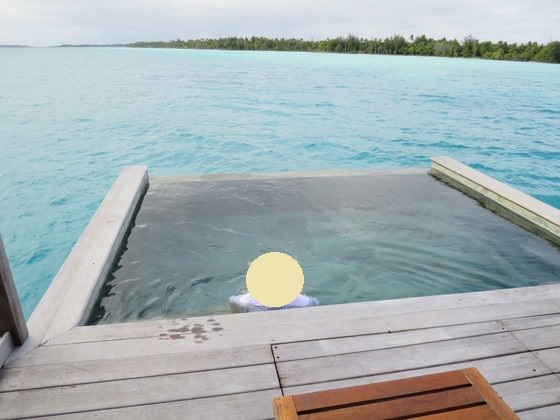 f:id:katsushika-miyah:20170817155237j:plain f:id:katsushika-miyah:20170817155237j:plain