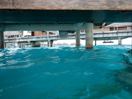 f:id:katsushika-miyah:20170817160146j:plain f:id:katsushika-miyah:20170817160146j:plain