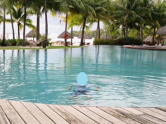 f:id:katsushika-miyah:20170817161727j:plain f:id:katsushika-miyah:20170817161727j:plain