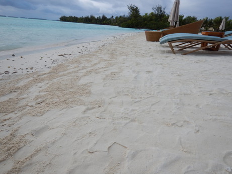 f:id:katsushika-miyah:20170817162553j:plain f:id:katsushika-miyah:20170817162553j:plain