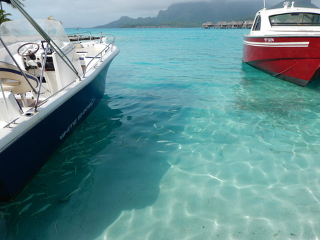 f:id:katsushika-miyah:20170817181941j:plain f:id:katsushika-miyah:20170817181941j:plain