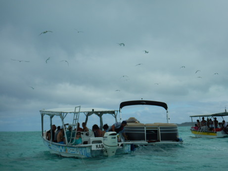 f:id:katsushika-miyah:20170817183000j:plain f:id:katsushika-miyah:20170817183000j:plain