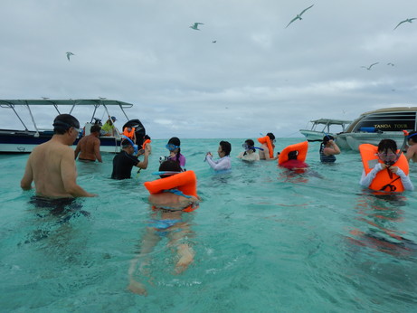 f:id:katsushika-miyah:20170817183401j:plain f:id:katsushika-miyah:20170817183401j:plain