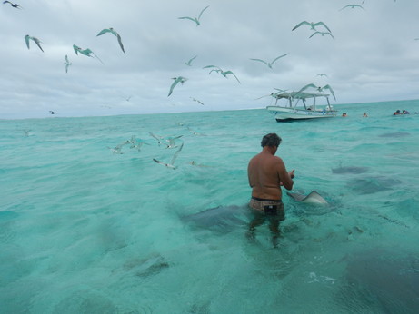 f:id:katsushika-miyah:20170817183914j:plain f:id:katsushika-miyah:20170817183914j:plain