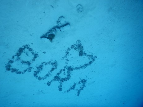 f:id:katsushika-miyah:20170817185435j:plain f:id:katsushika-miyah:20170817185435j:plain