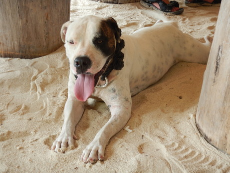 f:id:katsushika-miyah:20170817191009j:plain f:id:katsushika-miyah:20170817191009j:plain