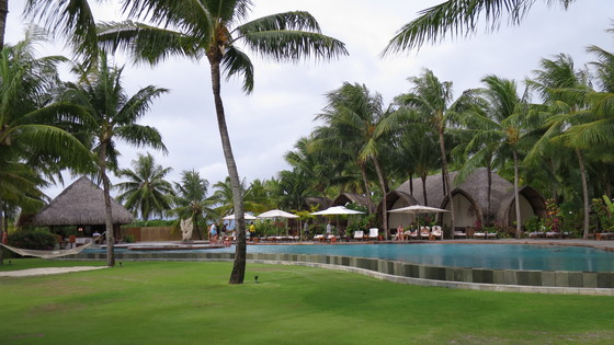 f:id:katsushika-miyah:20170817230234j:plain f:id:katsushika-miyah:20170817230234j:plain