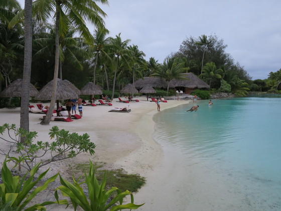 f:id:katsushika-miyah:20170817230813j:plain f:id:katsushika-miyah:20170817230813j:plain