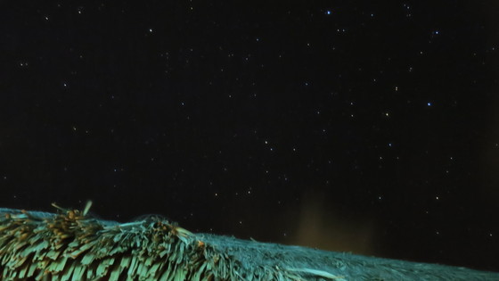 f:id:katsushika-miyah:20170818000408j:plain f:id:katsushika-miyah:20170818000408j:plain