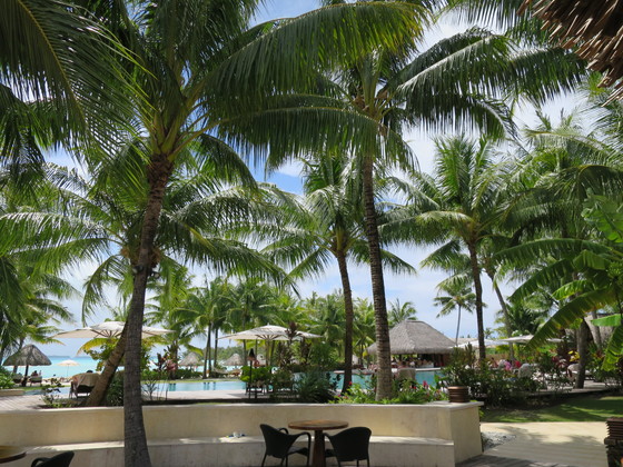 f:id:katsushika-miyah:20170818002110j:plain f:id:katsushika-miyah:20170818002110j:plain