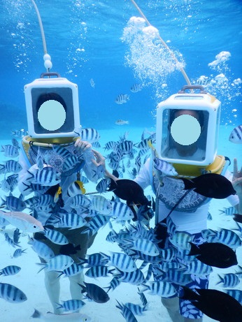 f:id:katsushika-miyah:20170818004652j:plain f:id:katsushika-miyah:20170818004652j:plain