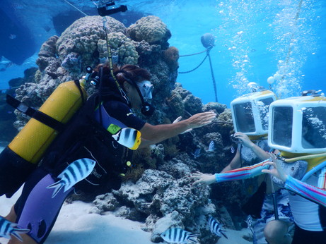 f:id:katsushika-miyah:20170818004935j:plain f:id:katsushika-miyah:20170818004935j:plain