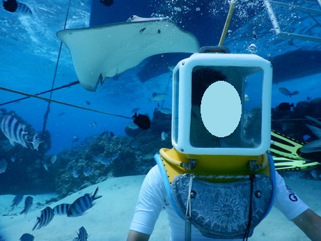 f:id:katsushika-miyah:20170818010251j:plain f:id:katsushika-miyah:20170818010251j:plain