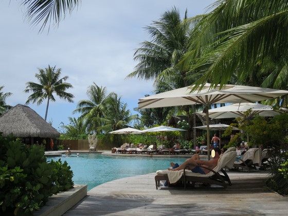 f:id:katsushika-miyah:20170818015121j:plain f:id:katsushika-miyah:20170818015121j:plain