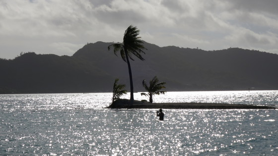 f:id:katsushika-miyah:20170818034920j:plain f:id:katsushika-miyah:20170818034920j:plain