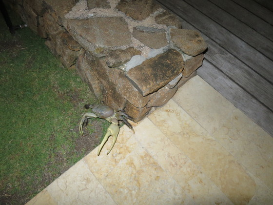 f:id:katsushika-miyah:20170818141944j:plain f:id:katsushika-miyah:20170818141944j:plain