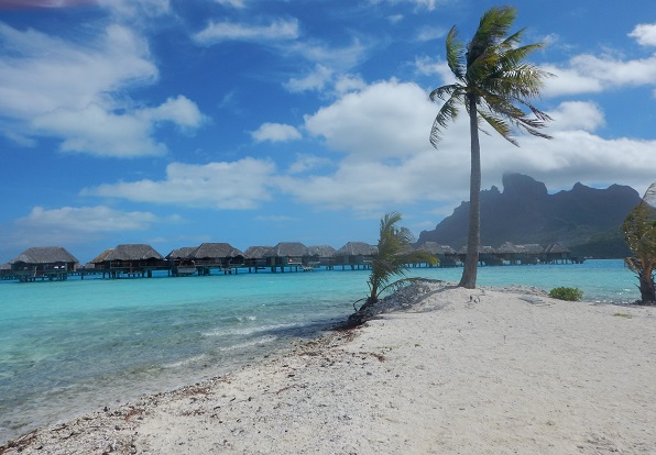 f:id:katsushika-miyah:20170819032521j:plain f:id:katsushika-miyah:20170819032521j:plain